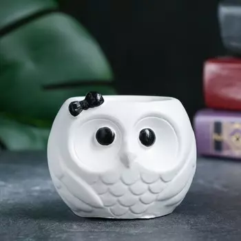 Фигурное кашпо для цветов «Сова», 6.57.56 см, гипс, белое