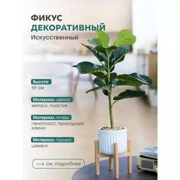 Фикус в цементном горшке с подставкой МДФ, 140140690 мм, цвет зелёный / белый / бежевый