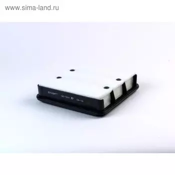 Фильтр воздушный BIG FILTER GB-924