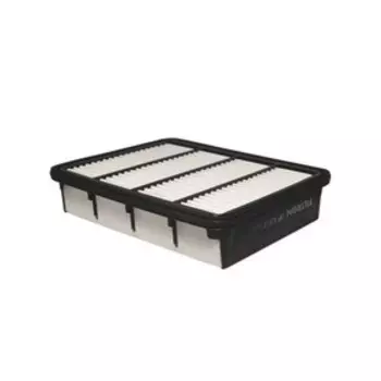 Фильтр воздушный FILTRON AP120/1