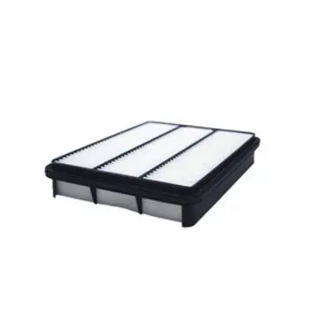 Фильтр воздушный FILTRON AP143/3