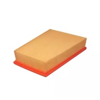 Фильтр воздушный FILTRON AP185/2