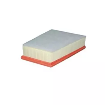 Фильтр воздушный FILTRON AP185/4