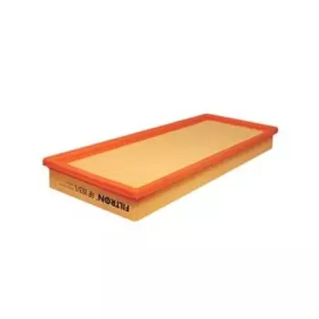 Фильтр воздушный FILTRON AP193/1