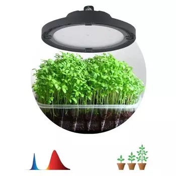 Фитопрожектор для растений светодиодный ЭРА FITO-50W-RB-LED-UFO красно-синего спектра 50 Вт IP65 1