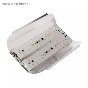 Фитопрожектор для растений Luazon Lighting СДО09-100, светодиодный, 100 Вт, IP65, 220 В, бескорпусный, мультиспектральный