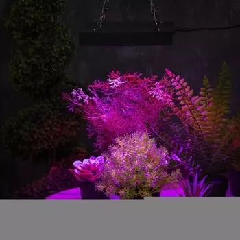 Фитосветильник для растений, светодиодный, 50 Вт, 200 мм, IP20, 265 В, полноспектральный