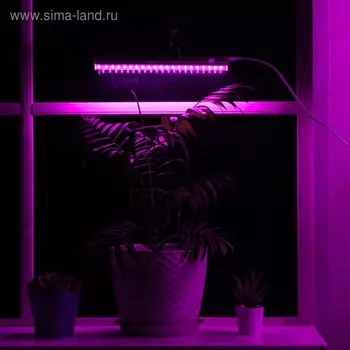 Фитосветильник светодиодный, 6 Вт, 300 мм, IP20, 220 В, мультиспектральный, с присоской