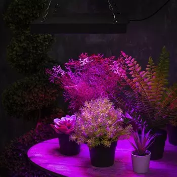Фитосветильник для растений, светодиодный, 80 Вт, 280 мм, IP20, 265 В, полноспектральный