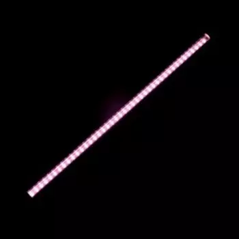 Фитосветильник для растений Luazon, светодиодный, 10 Вт, 600 мм, IP40, 220 В, полноспектральный