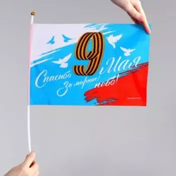Флаг «Спасибо за мирное небо» 30х20см