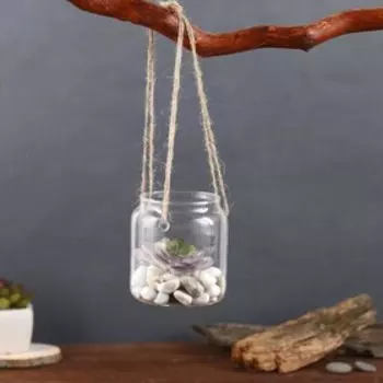 Флорариум «Баночка», с верёвкой, 889 см, стекло, прозрачный