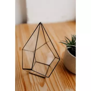 Флорариум «Капля узкая», стекло, швы чёрные