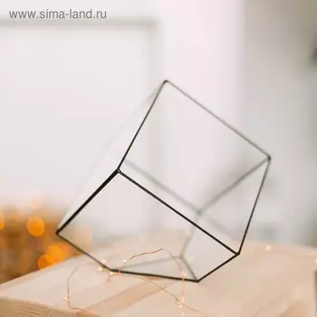 Флорариум "Куб" большой (швы медь)