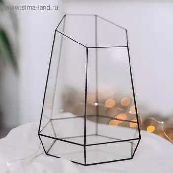 Флорариум "Орхидариум" (швы серебро)