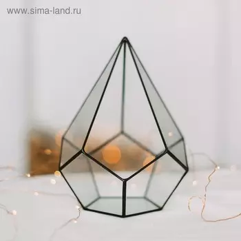 Флорариум «Пирамидка», малая, стекло, швы чёрные