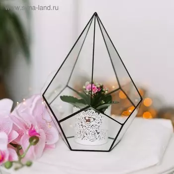 Флорариум «Пирамидка», средняя, стекло, швы чёрные