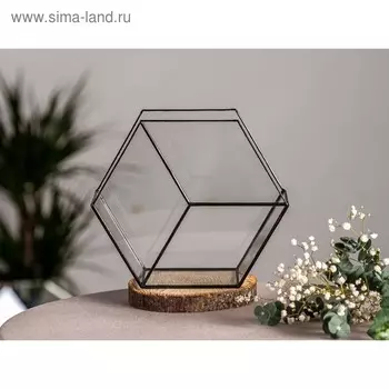 Флорариум «Соты 3d», стекло, швы чёрные