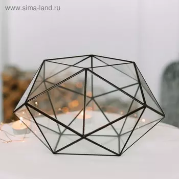 Флорариум "Спейс" (швы серебро)