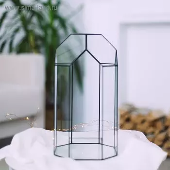 Флорариум «Теплица», стекло, швы чёрные