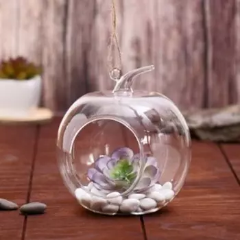 Флорариум «Яблоко», 121214 см, стекло, прозрачный