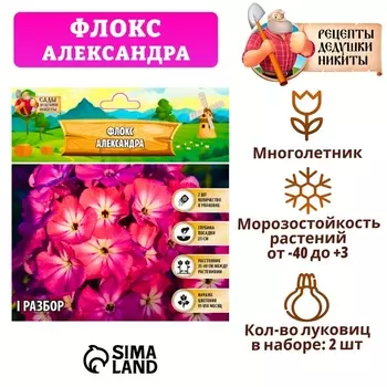 Флокс «Александра» корневище в пакете с торфогрунтом, р-р I, 2 шт.