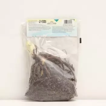 Флокс метельчатый «Аметист», корневище в пакете с торфогрунтом, р-р I, 2 шт.