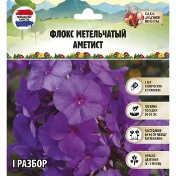 Флокс метельчатый «Аметист», корневище в пакете с торфогрунтом, р-р I, 2 шт.