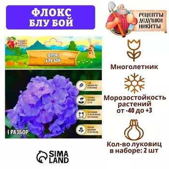 Флокс "Блу Бой" р-р I, 2 шт, Весна 2025