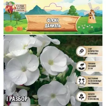 Флокс "Даниэль" р-р I, 2 шт, Весна 2025