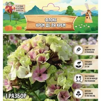 Флокс "Крем де ля Крем" р-р I, 2 шт, Весна 2025