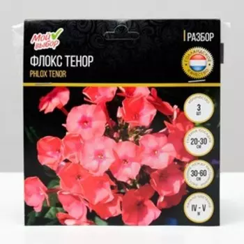 Флокс метельчатый «Тенор», корневище в пакете с торфогрунтом, р-р I, 2 шт.
