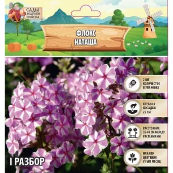 Флокс "Наташа" р-р I, 2 шт, Весна 2025