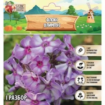 Флокс "Олимпус" р-р I, 2 шт,