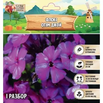 Флокс «Отэм Джой» корневище в пакете с торфогрунтом, р-р I, 2 шт.