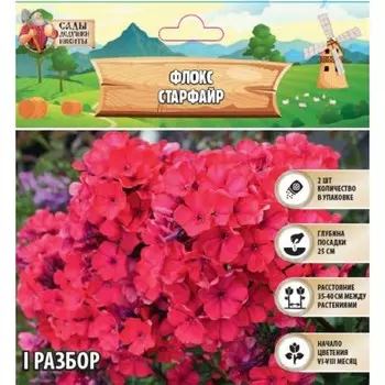 Флокс "Старфайр" р-р I, 2 шт, Весна 2025