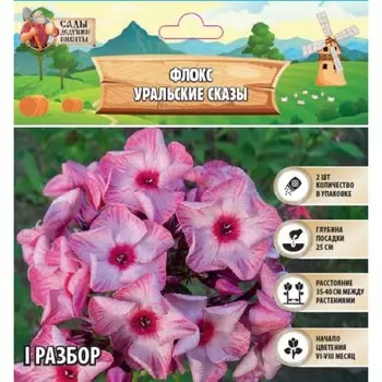 Флокс «Уральские сказы» корневище в пакете с торфогрунтом, р-р I, 2 шт.