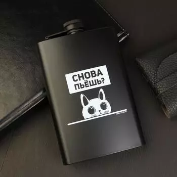 Фляжка «Снова пьёшь?», 270 мл