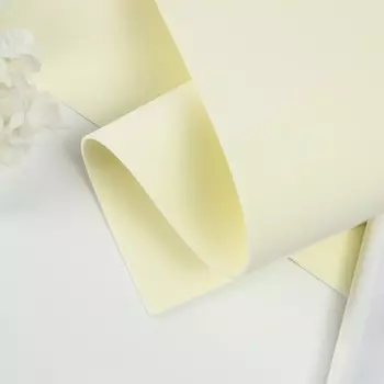 Фоамиран иранский 2 мм (Антично-белый/102) 60х70 см