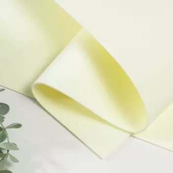 Фоамиран иранский 2 мм (шампань/107) 60х70 см