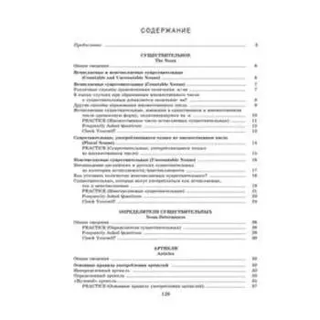 Focus on Nouns: английский язык. Грамматика. Интенсивный курс подготовки к экзамену. Пархамович Т. В.