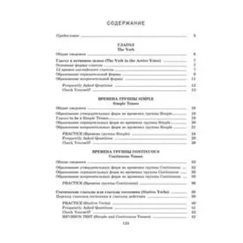 Focus on Verbs: английский язык. Грамматика. Интенсивный курс подготовки к экзамену. Пархамович Т. В.