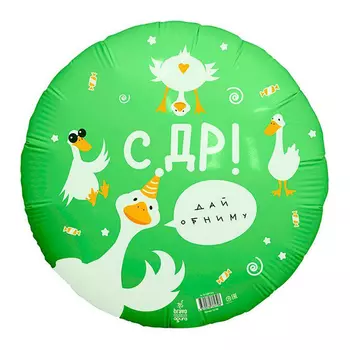 Шары воздушные фольгированные 18" «СДР гусь», круг