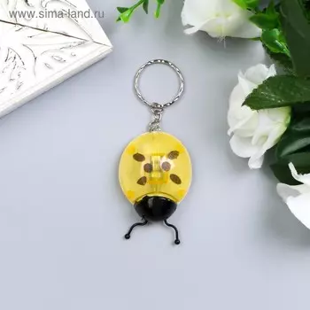 Фонарик свет на кольце "Божья коровка" МИКС