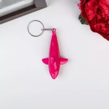 Фонарик свет на кольце "Дельфин" светит МИКС 3,5х6,5х2,5 см