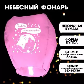 Фонарик желаний «Ты всё, что мне нужно», котики, форма сердце, розовый