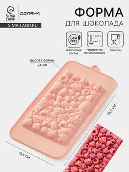Форма для шоколада Доляна «Малина», 21101 см, силикон, бежевая