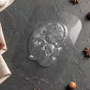 Форма для шоколада и конфет «Кисонька», 1279314 мм, цвет прозрачный