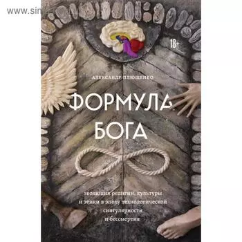 Формула Бога. Плющенко А.