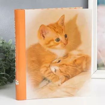 Фотоальбом магнитный "Рыжик" 20 листов, 23х28 см